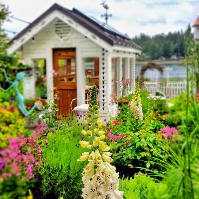 Inspired by Blooms – June PNW Cottage Garden Tour