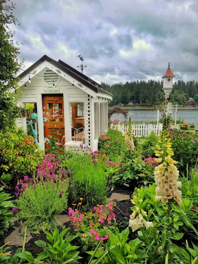 Summer cottage garden and greenhouse 