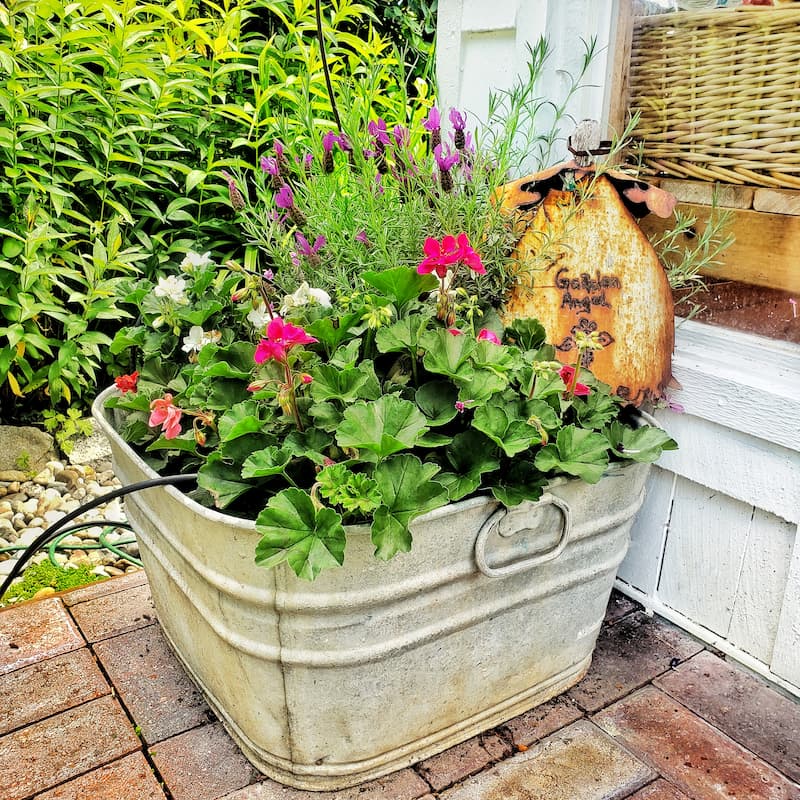 This is one of my favorite thrift store containers for garden flowers. I love the shape. It's a welcome change from the mostly round pieces I have.