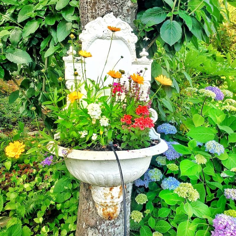 A vintage garden fountain is an excellent place to grow your flowers