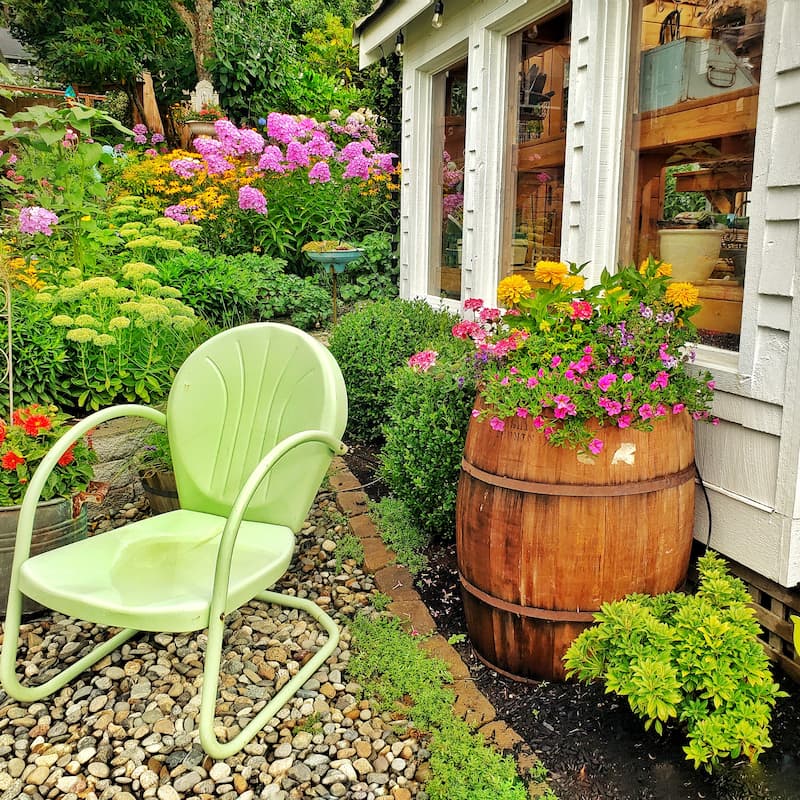 thrift store whiskey barrel being used as a garden container