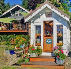 How to Grow a Flower Container Garden for Beginners - Shiplap and Shells