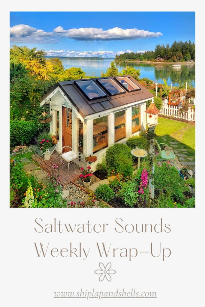 Saltwater Sounds greenhouse over looking the Puget Sound water view