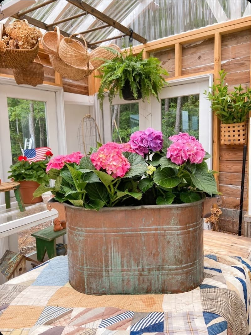 15 Summer Garden Greenhouse Views to Inspire You Shiplap and Shells