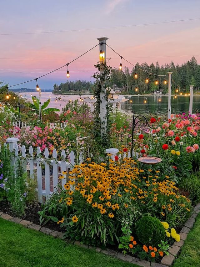 cropped-cottage-garden-summer-evening-SQ.jpg