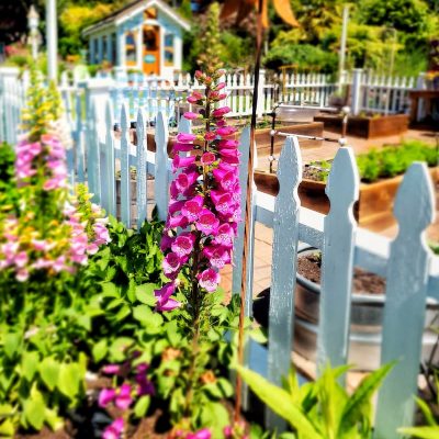 6 Sensational Spring Cottage-Style Garden Tours for Inspiration