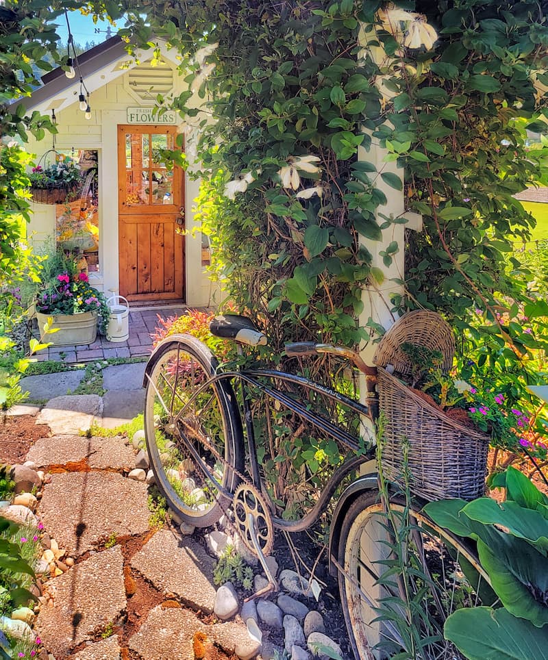 Garden Greenhouse View with vintage bike