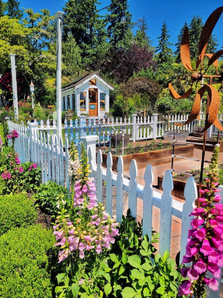 white picket fence garden and foxglove