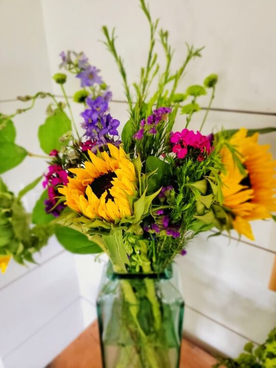 8 Tips and Tricks to Extend the Vase Life of Your Cut Flower