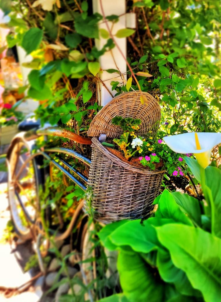wicker flower basket on vintage bike basket