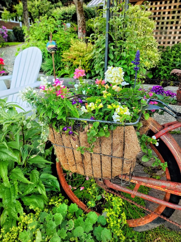 vintage bike basket in garden with flowers - vintage thrift store finds for garden flowers