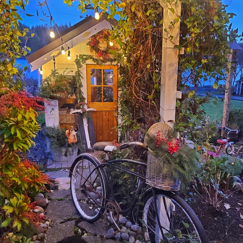 Christmas greenhouse and vintage bike