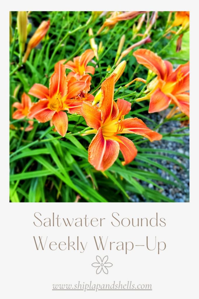 Saltwater Sounds Weekly Wrap-Up
