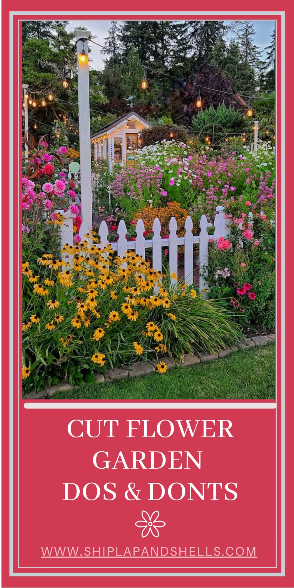 Cut Flower Garden Dos and Don'ts Shiplap and Shells