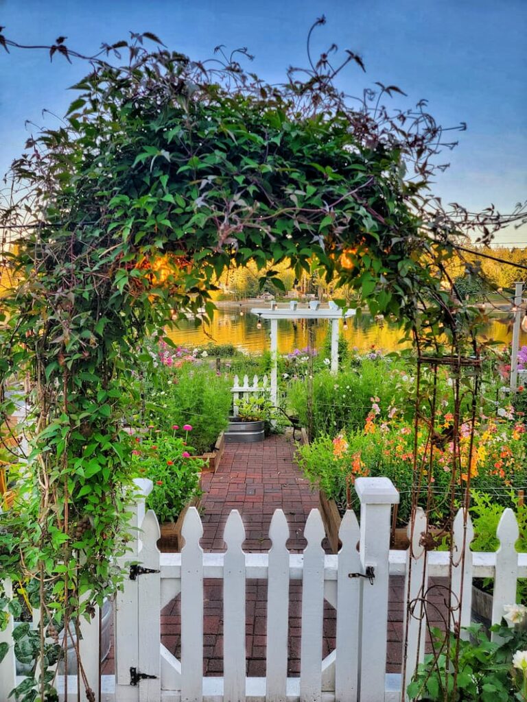 white picket fence and arbor in garden