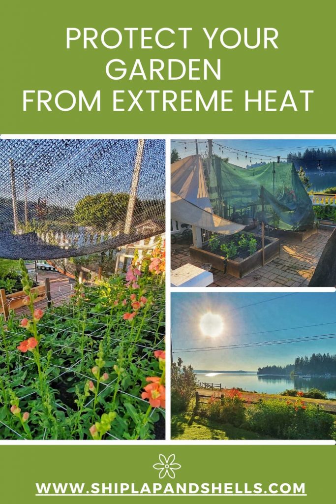Protect Your Garden From Extreme Heat