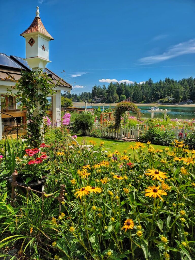 Summer cottage garden with birdhouse and water view