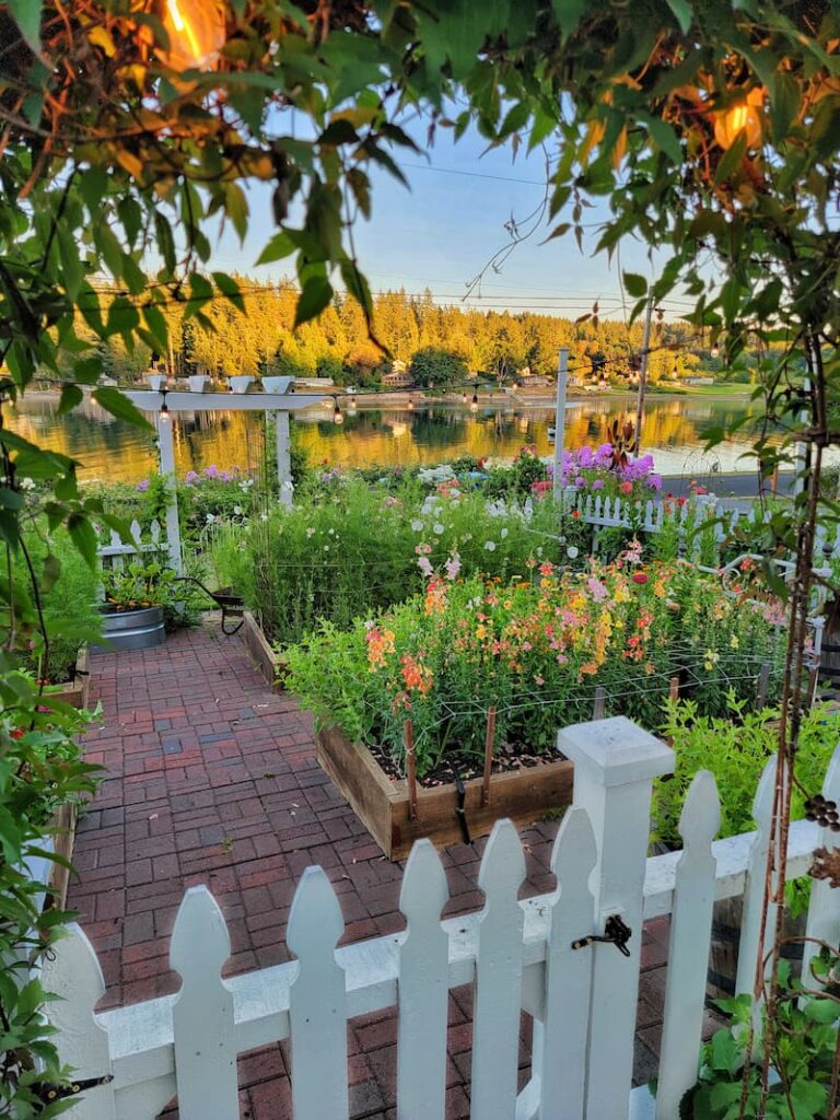 white picket fence cut flower garden view