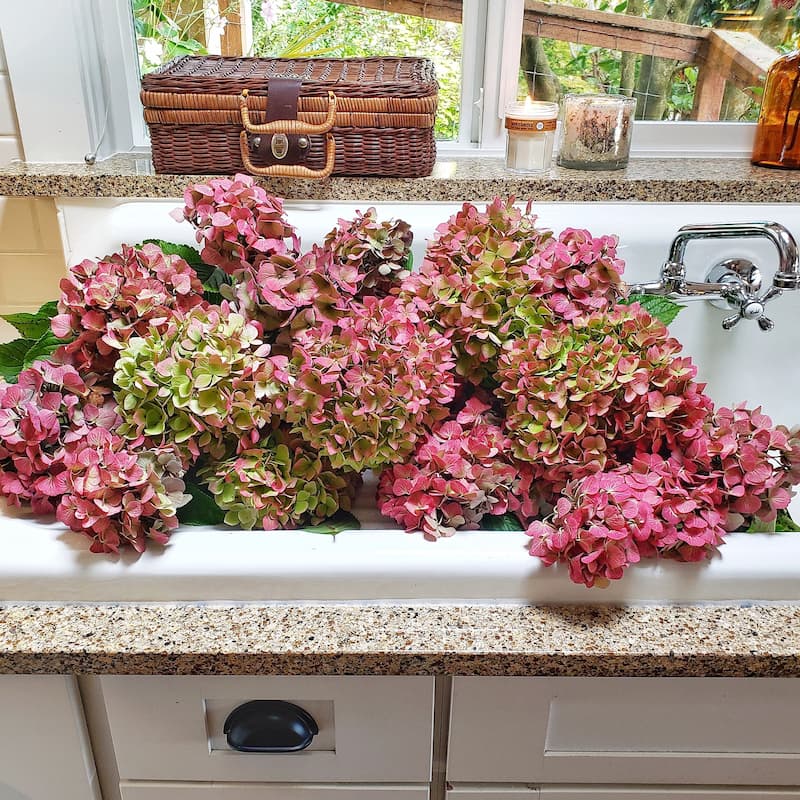 Transition Your Home Decor From Summer To Fall: fall harvested hydrangeas in farm sink