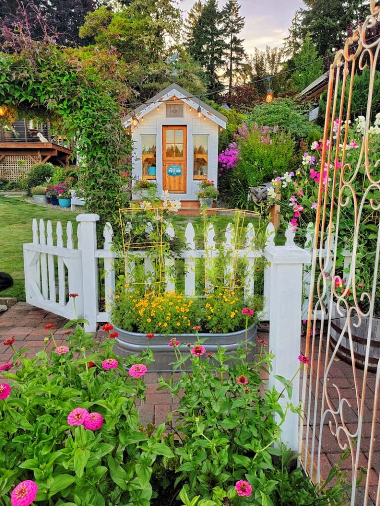 garden filled with cut flowers and tomatoes overlooking the greenhouse