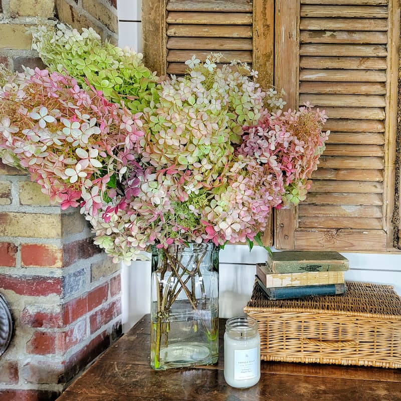 dried hydrangeas in a vase