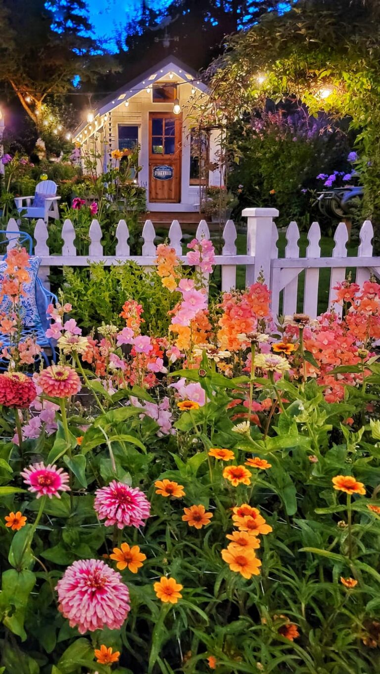 Cut Flower Garden Dos and Don’ts for Beginners - Shiplap and Shells