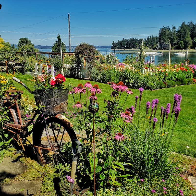 cottage garden with vintage bike 