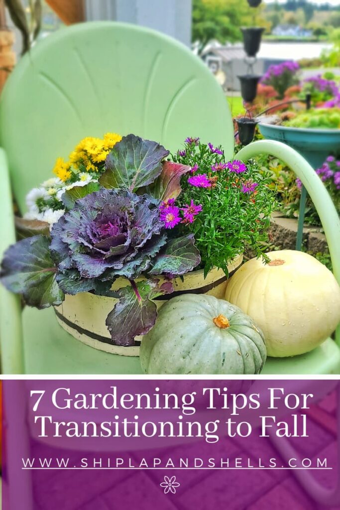 7 gardening tips for transitioning to fall