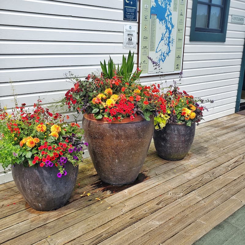 flower containers in Roche Harbor