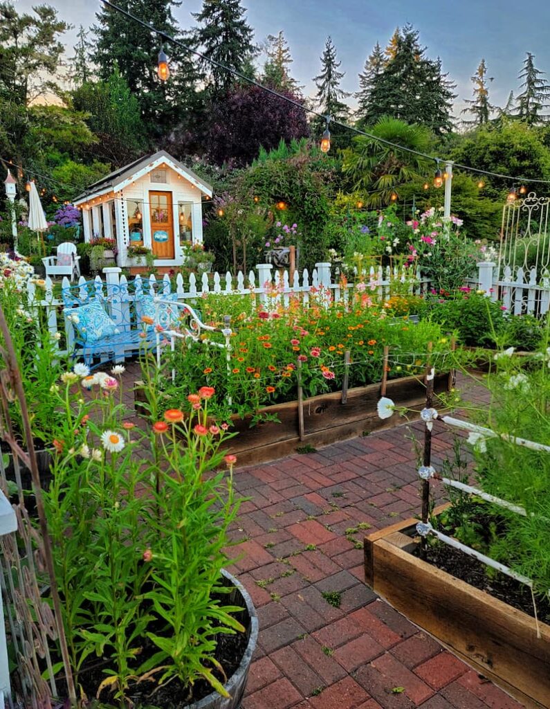 planning a cut flower garden layout: raised beds full of annuals