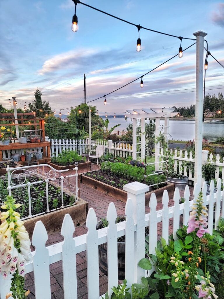 Raised beds and white picket fence