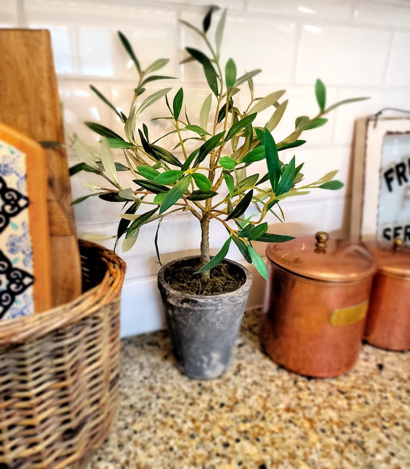 faux olive plant