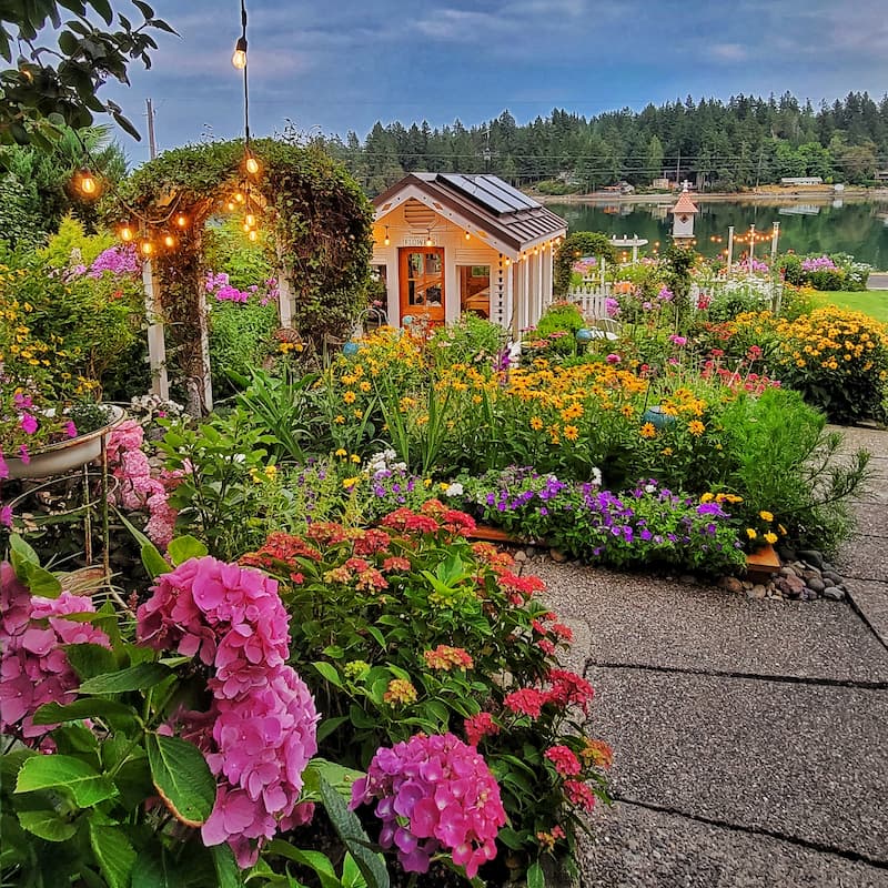 summer cottage garden and greenhouse
