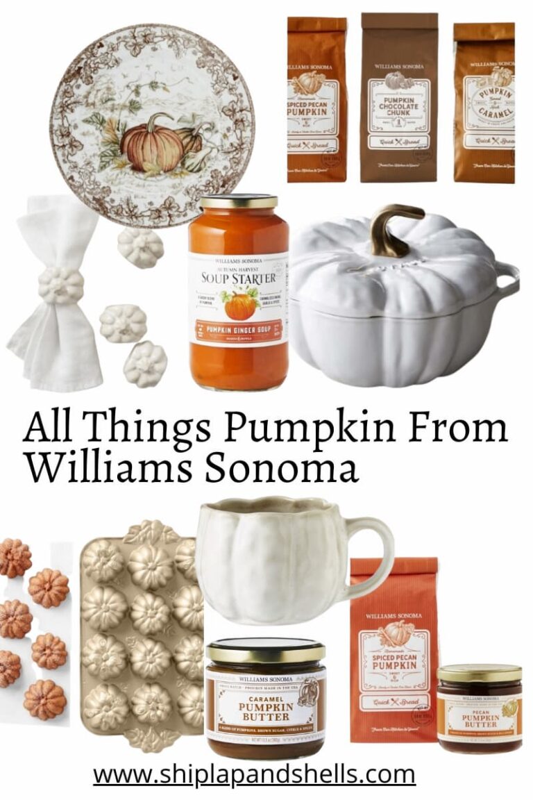 Happy Pumpkin Day – All Things Pumpkin at Williams Sonoma
