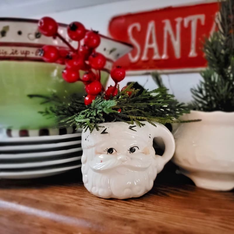 vintage Sant head mug with greenery in the kitchen