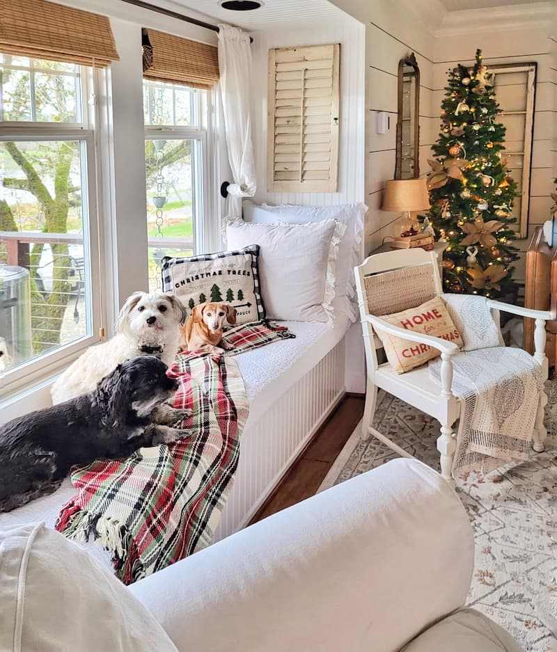 Christmas decor theme: window seat with 3 dogs laying on a plaid blanket
