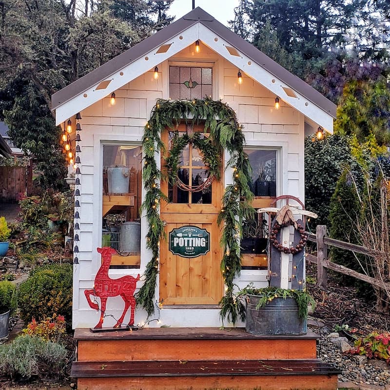 Christmas greenhouse