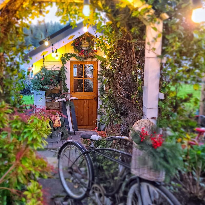 Christmas greenhouse and vintage bike
