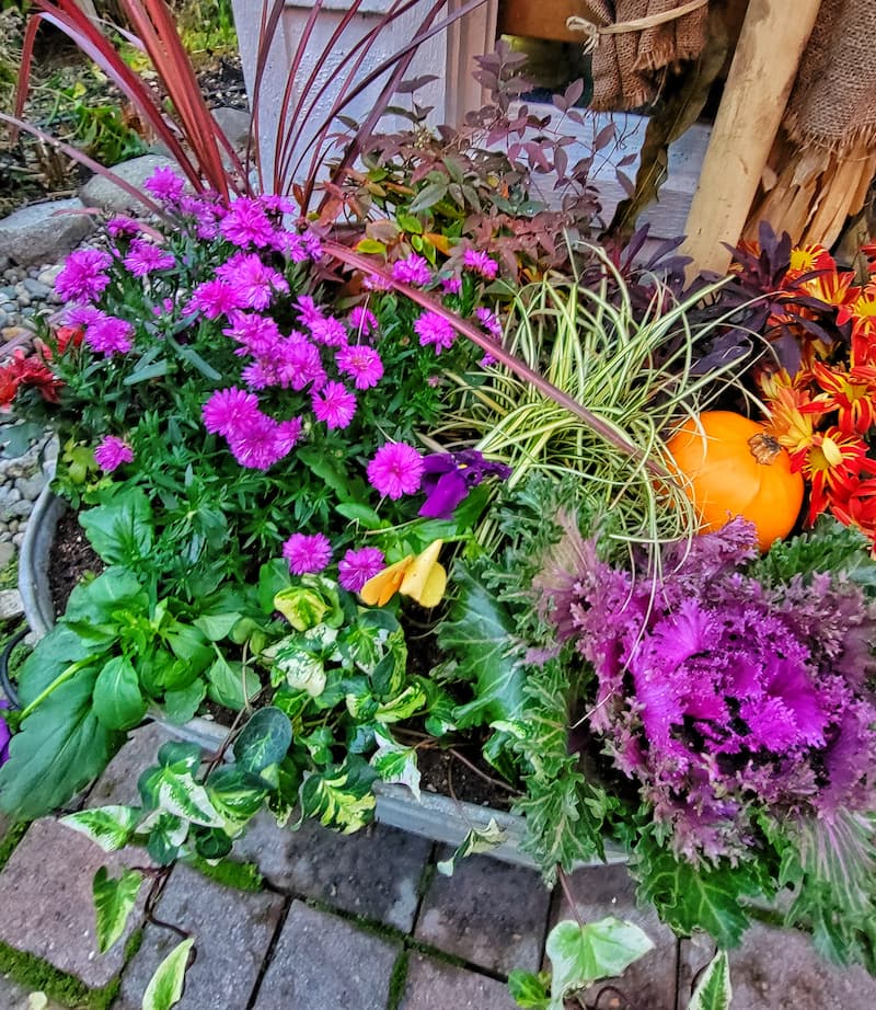 fall flower containers