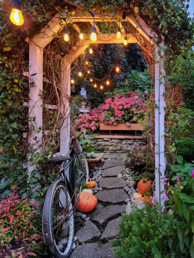 fall hydrangeas and walking path with bistro lights