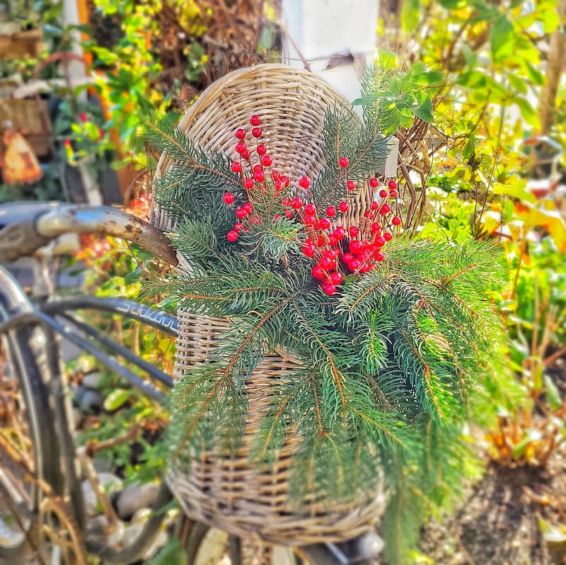 bike basket filled with natural greenery and red berries