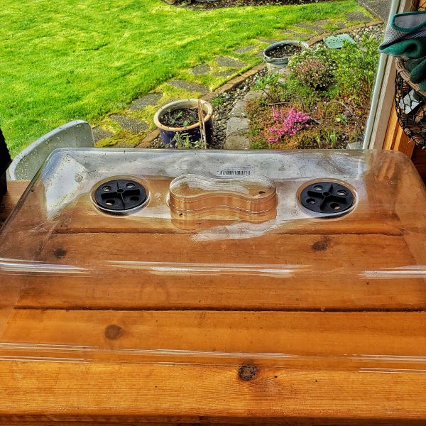 plastic cover for seed trays