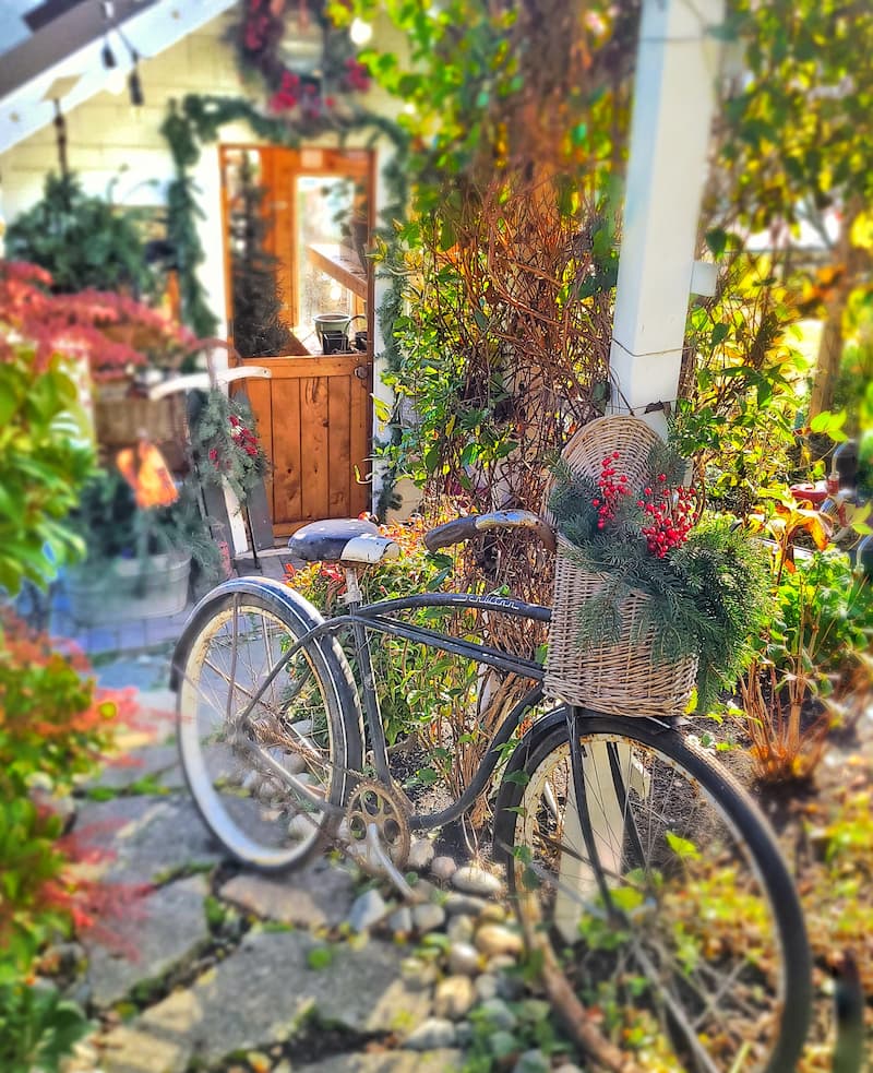 Christmas greenhouse with vintage bike