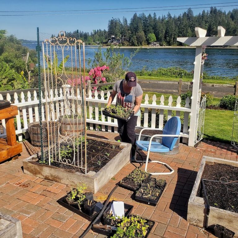 How to Plan a Stunning Cut Flower Garden Layout - Shiplap and Shells