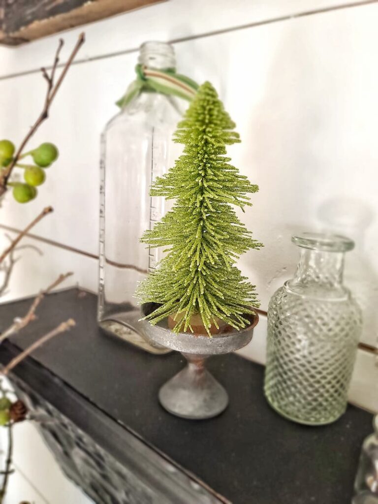 small tree and glass jars for winter decor
