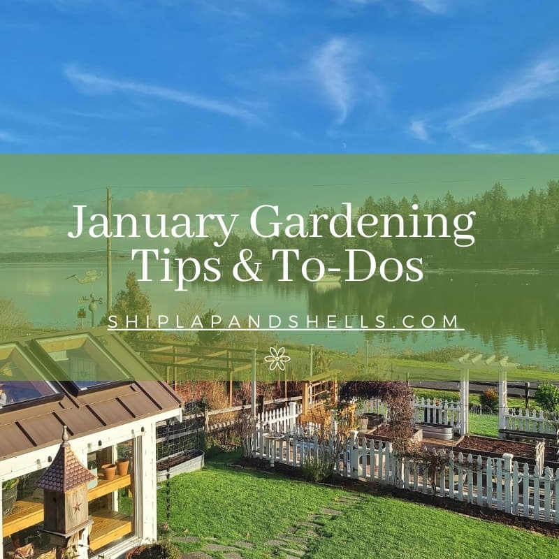 January gardening tips and to dos
