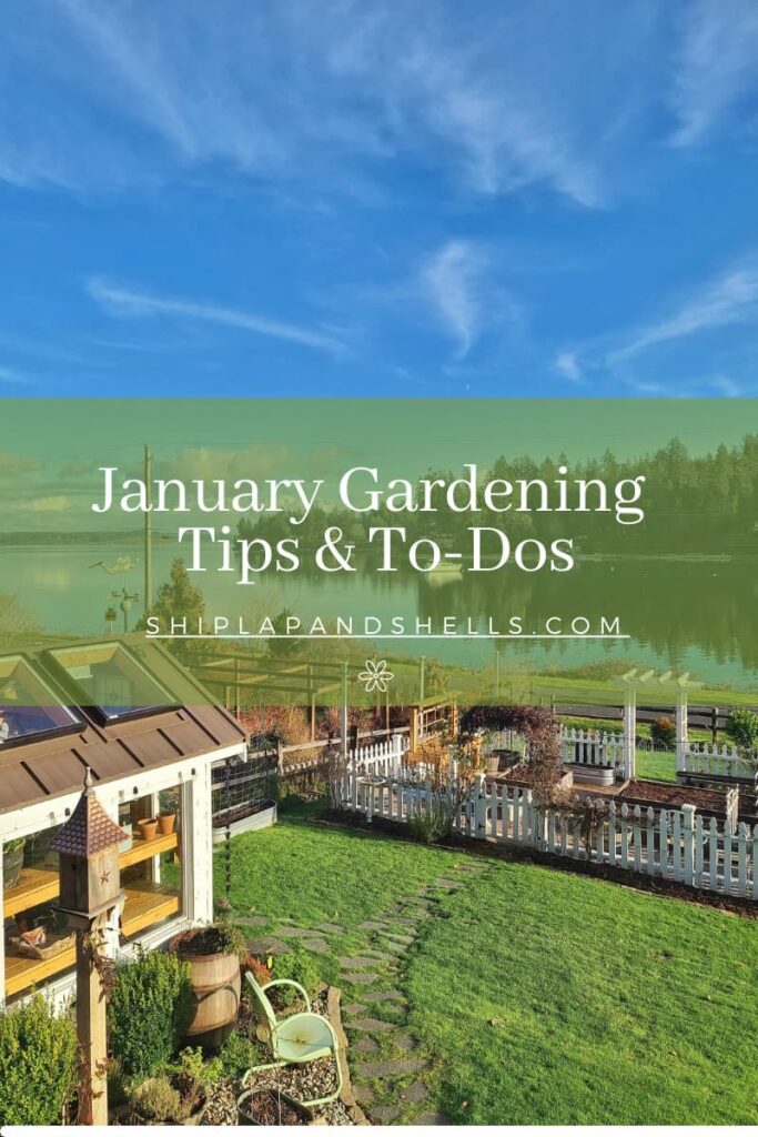 January gardening tips and to dos