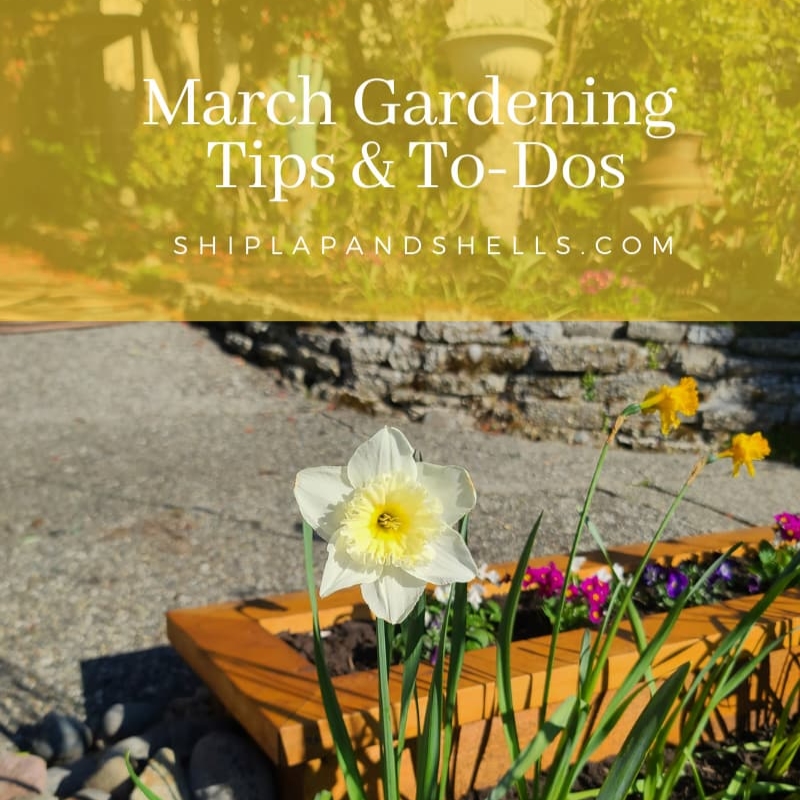 March gardening to dos