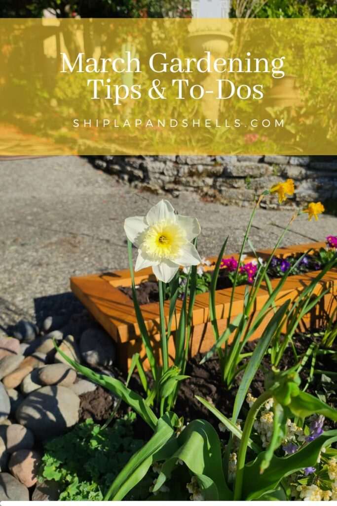 March gardening tips and to dos