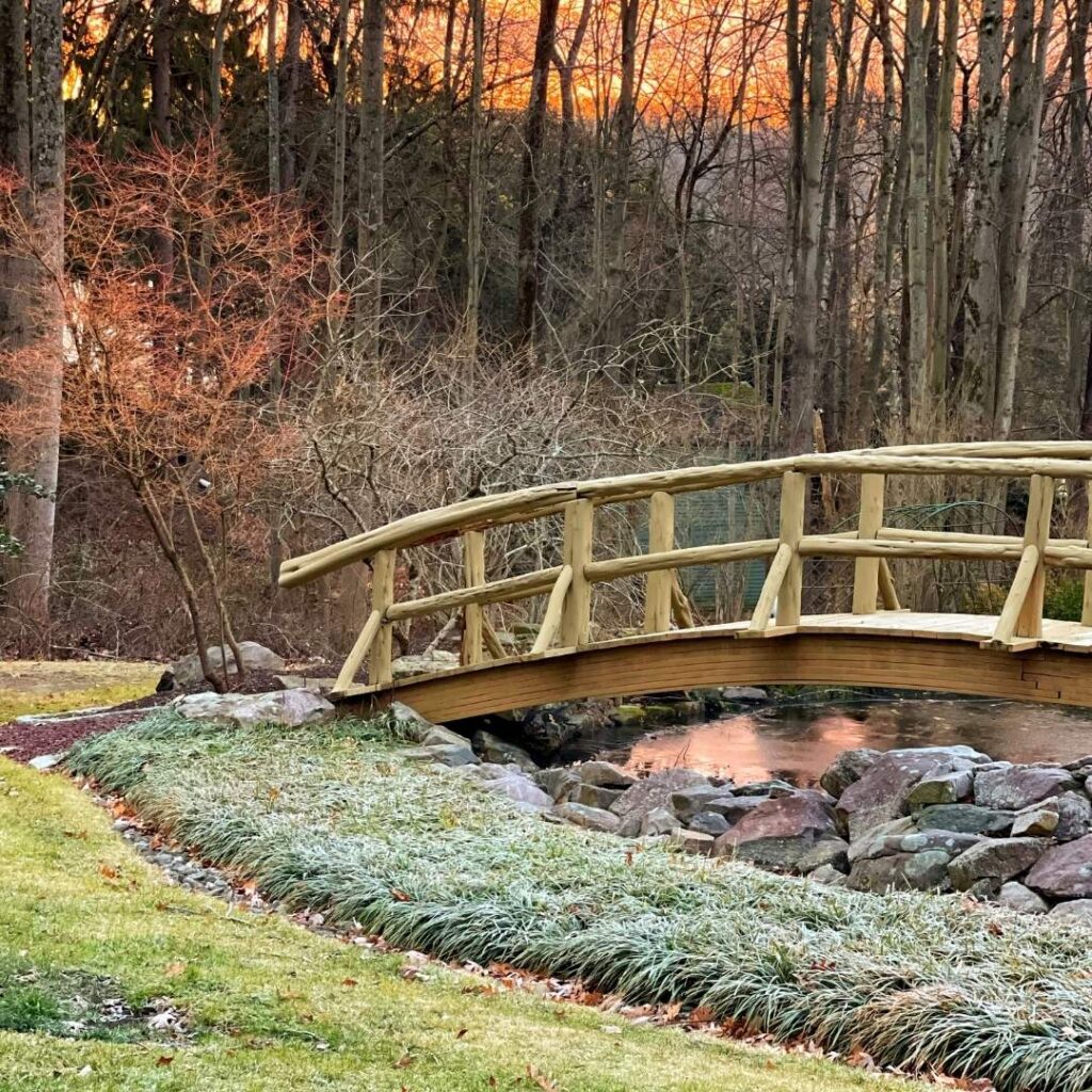 bridge over pond